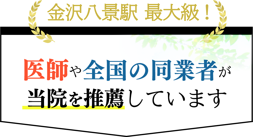金沢八景駅最大級 医師や全国の同業者が当院を推薦しています